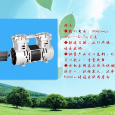 小型直流空压机 BST300/7DC12V.24V空压机