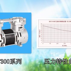 小型无油空压机机头（AC） BST300/7