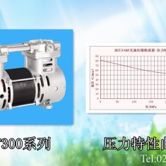 3L制氧机用空压机 BST300AF