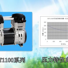 无油空压机机头1100（AC）BST1100