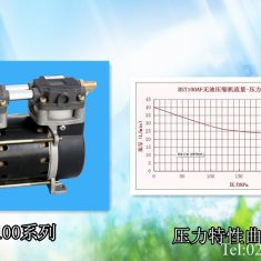 1L制氧机用空压机 BST100AF